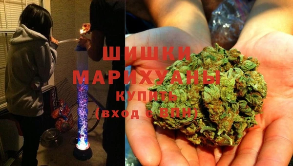 не бодяженный Гвардейск