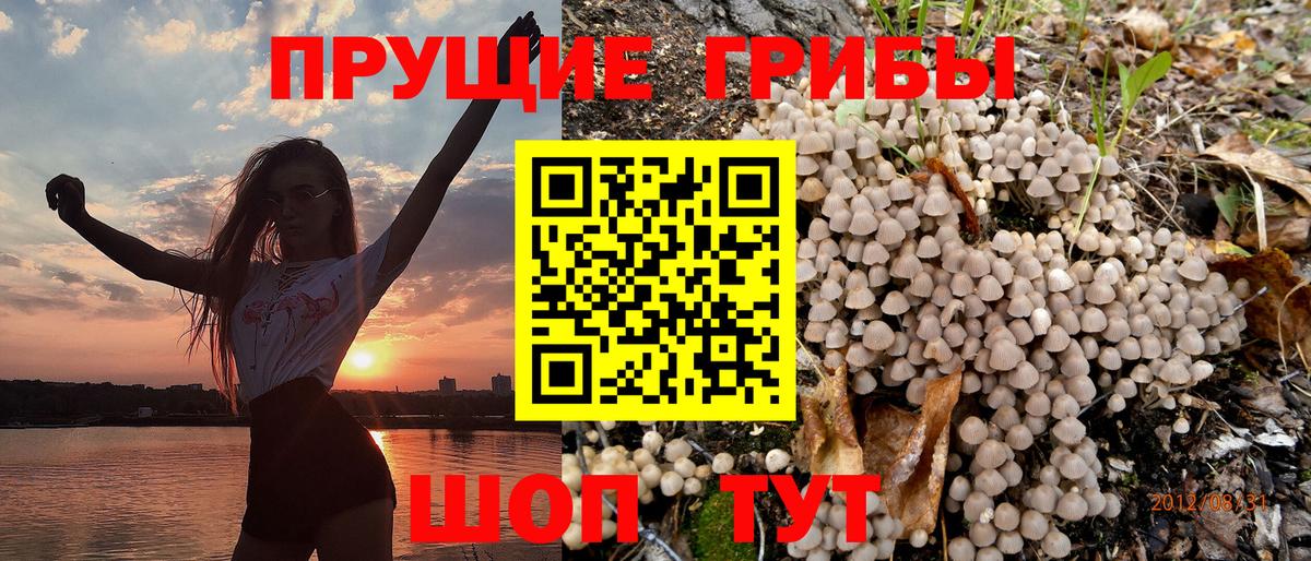 Галлюциногенные грибы мицелий Кропоткин