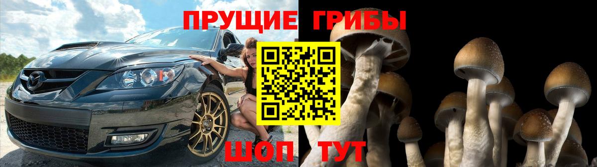 Кропоткин  Псилоцибиновые грибы Psilocybine cubensis  Псилоцибиновые грибы Cubensis  купить   Вход с VPN 